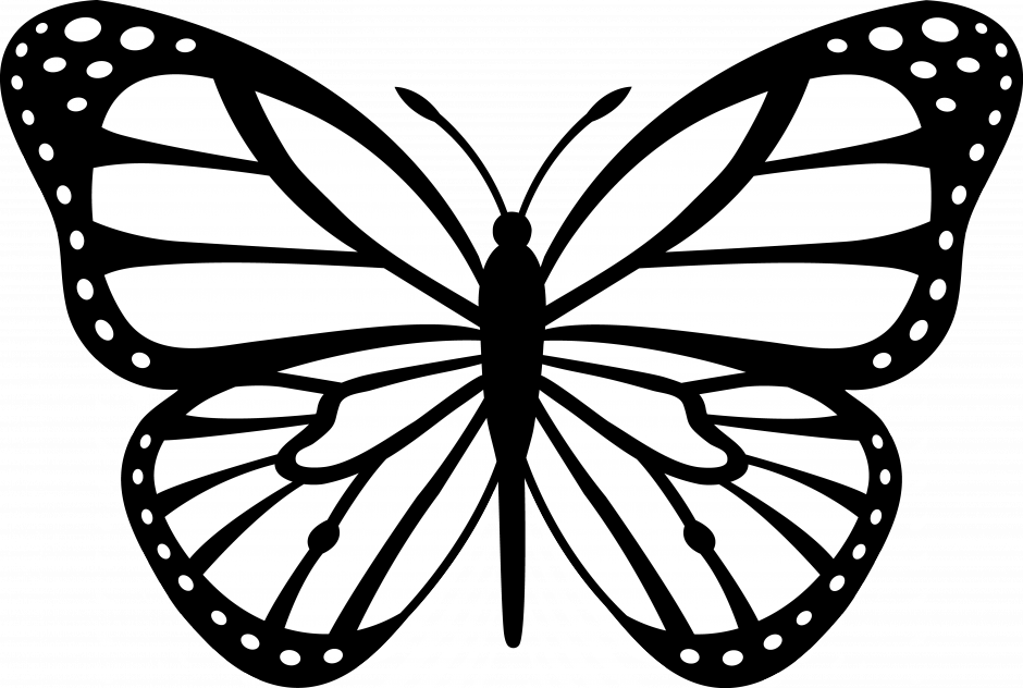 Butterfly Black And White Clipart