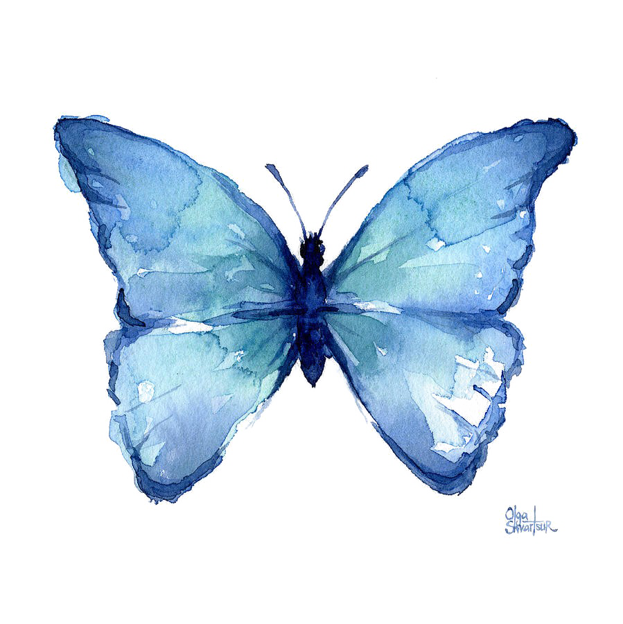 Watercolor Butterfly Art Clipart