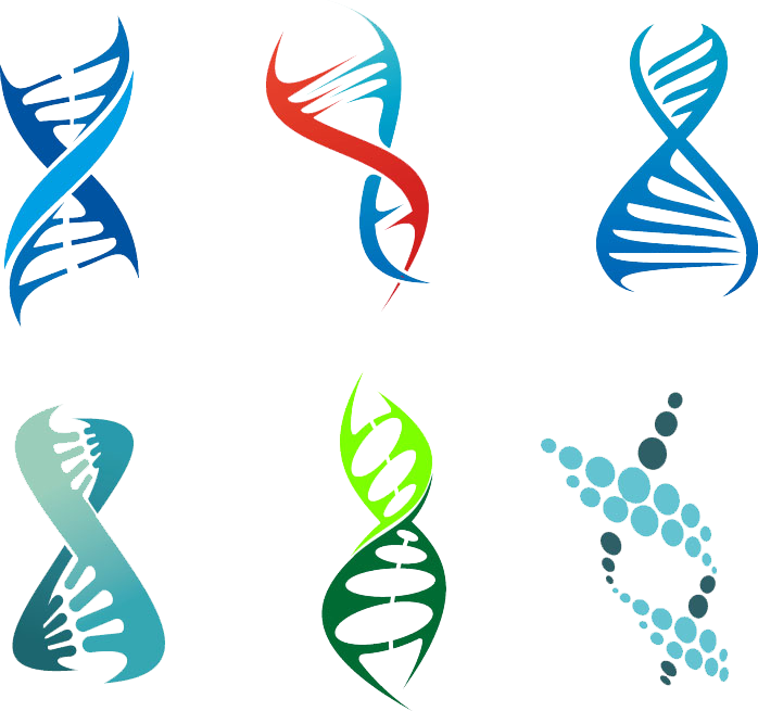 Double Helix Clipart
