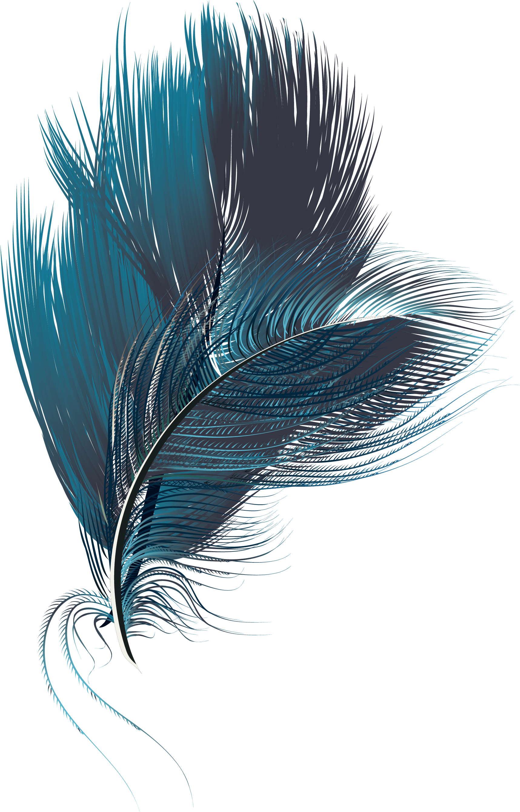 Feather Feather Clipart