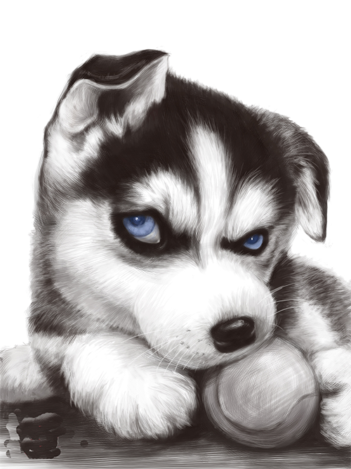 Dog Cartoon Clipart