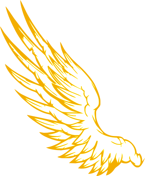 Bird Line Drawing Clipart