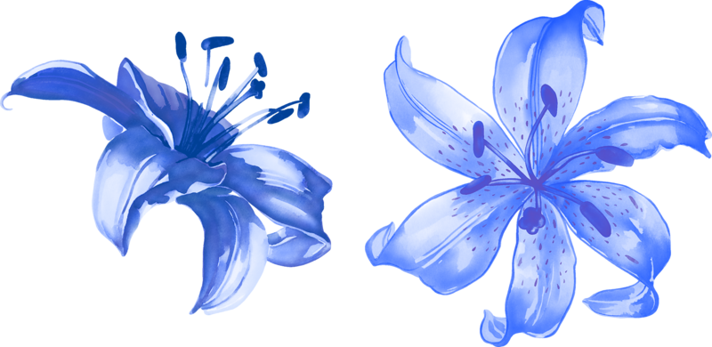 Drawing Of Family Clipart