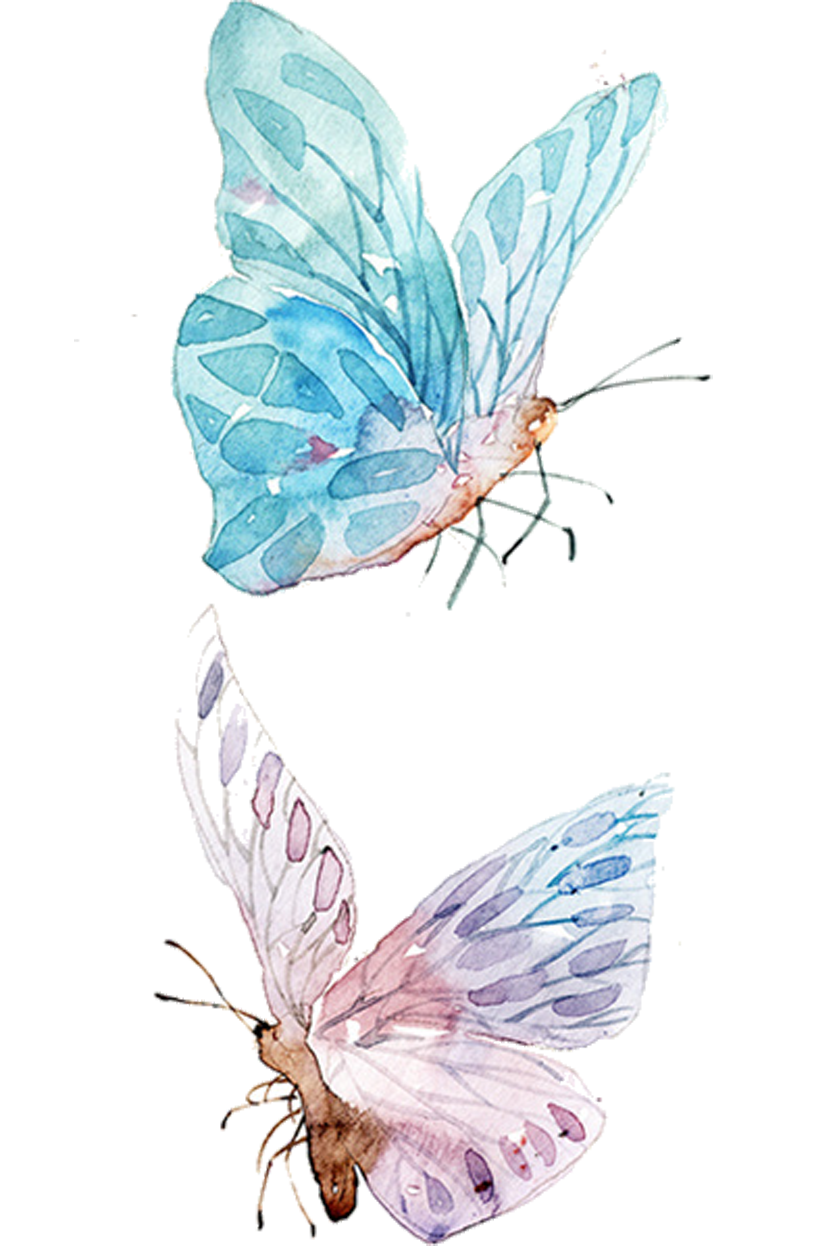 Watercolor Butterfly Background Clipart