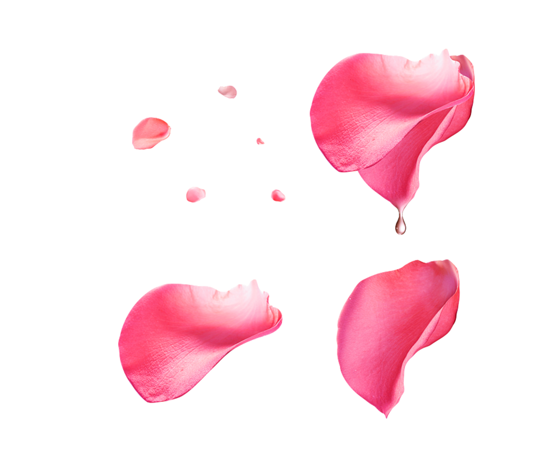 Rose Love Flowers Clipart