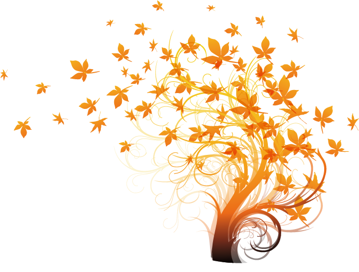 Autumn Leaf Drawing Clipart