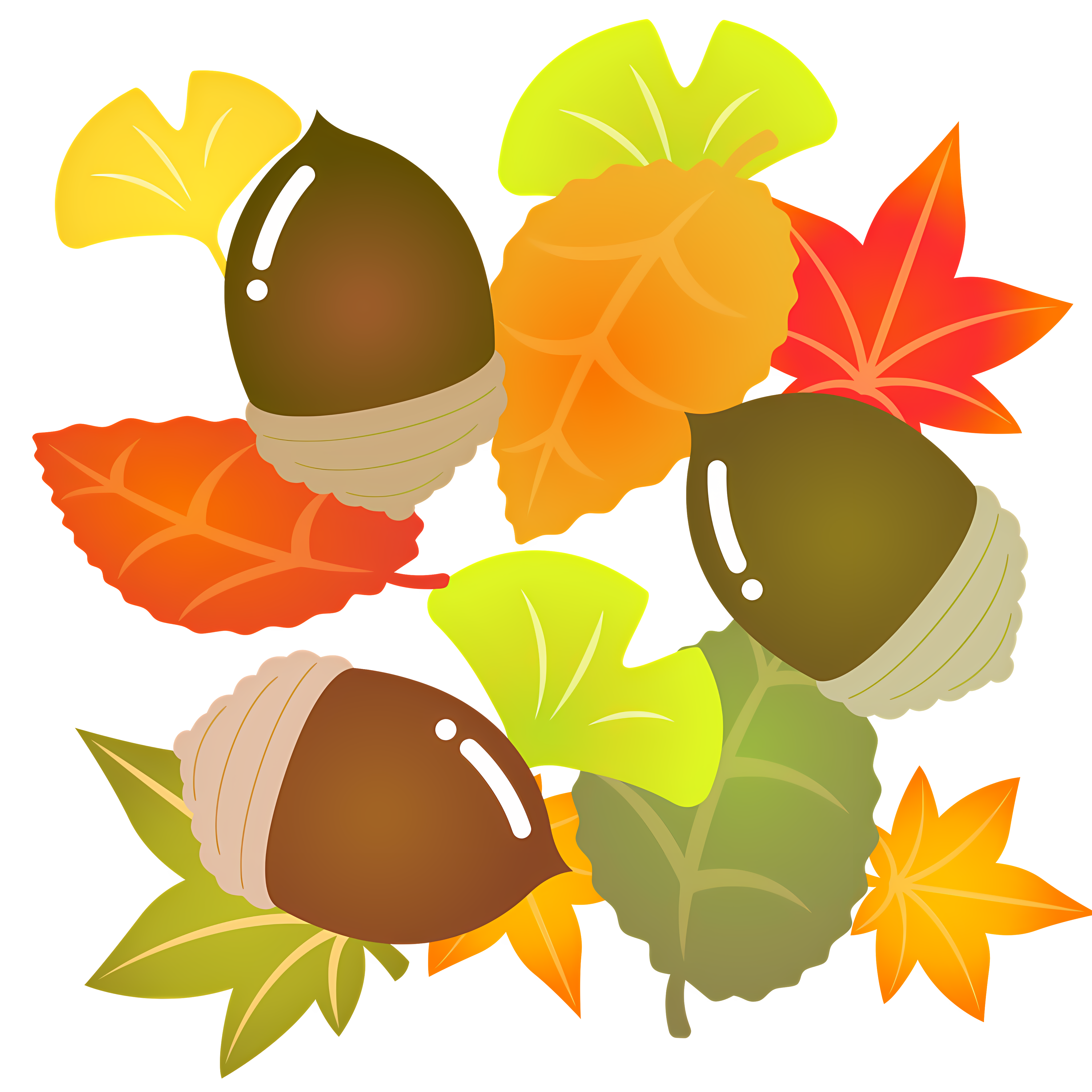Autumn leaves and acorns arranged in circular pattern Clipart