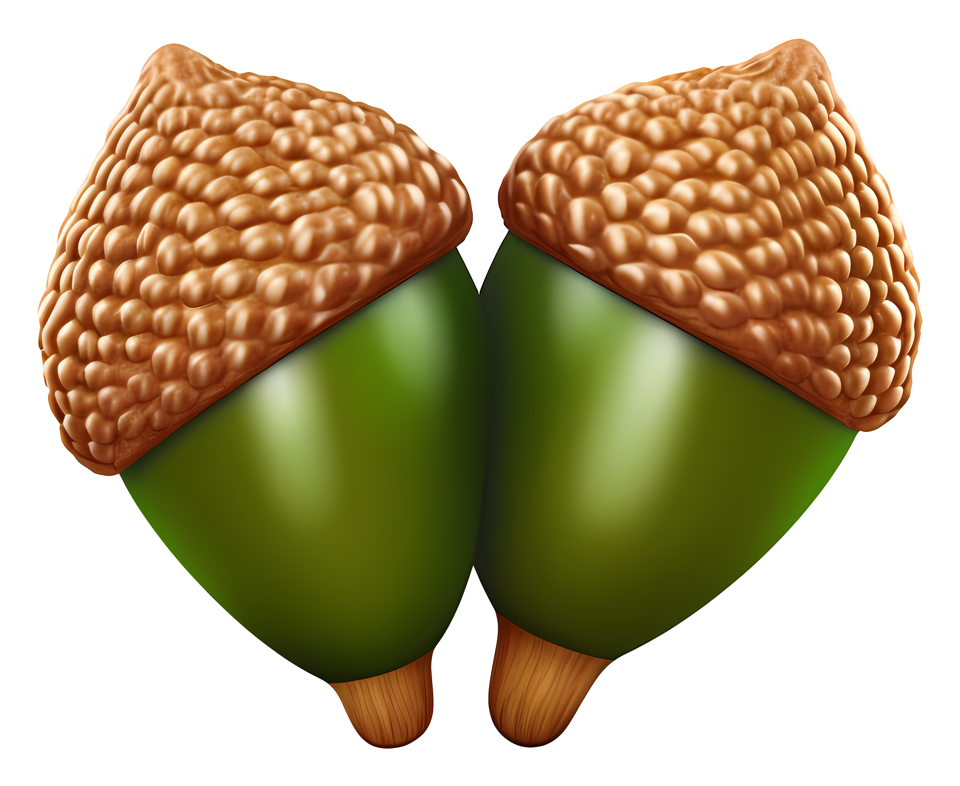 High-resolution image of brown acorns with crack Clipart