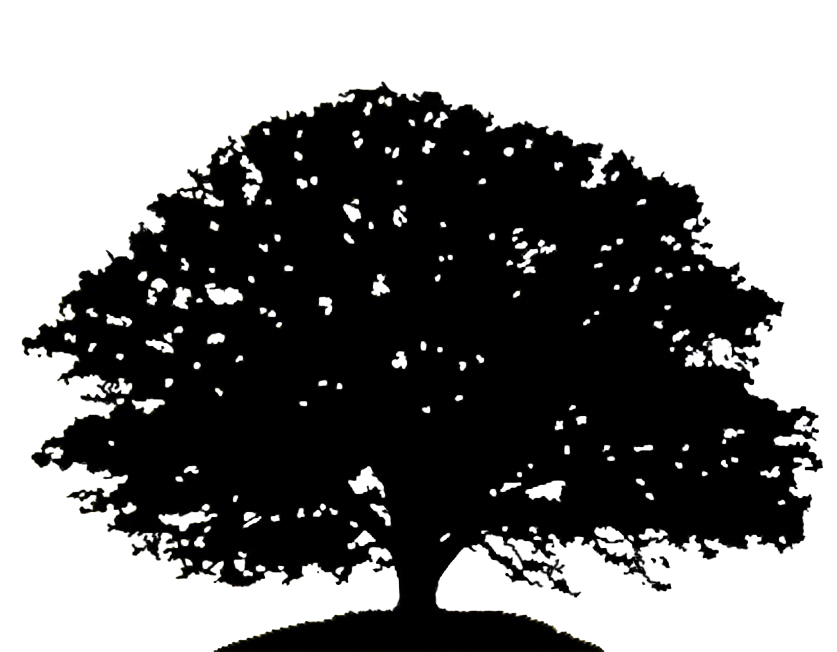 Oak Tree Silhouette Clipart