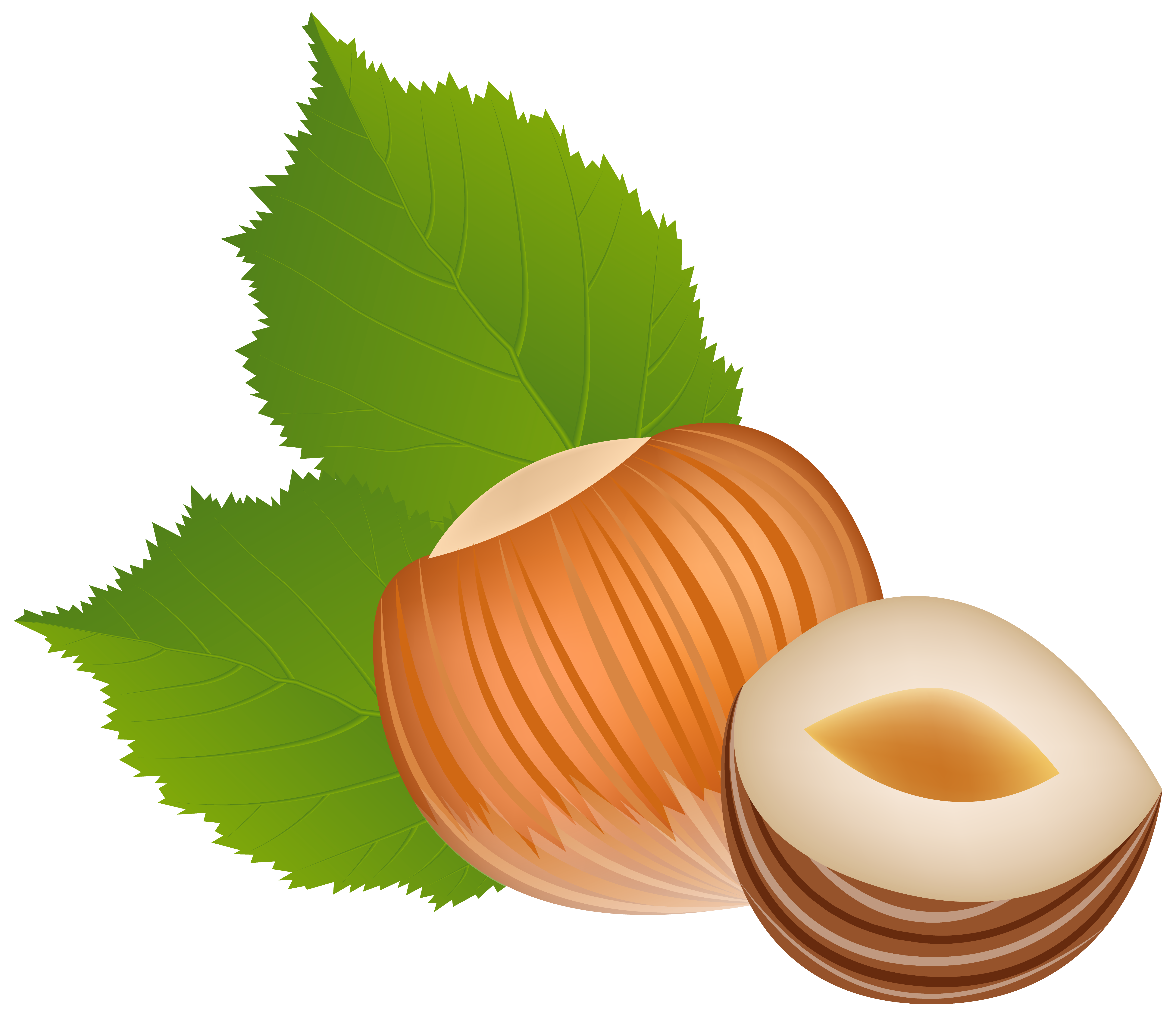 Fruit Cartoon Clipart