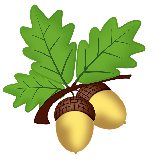 Oak Tree Leaf Clipart