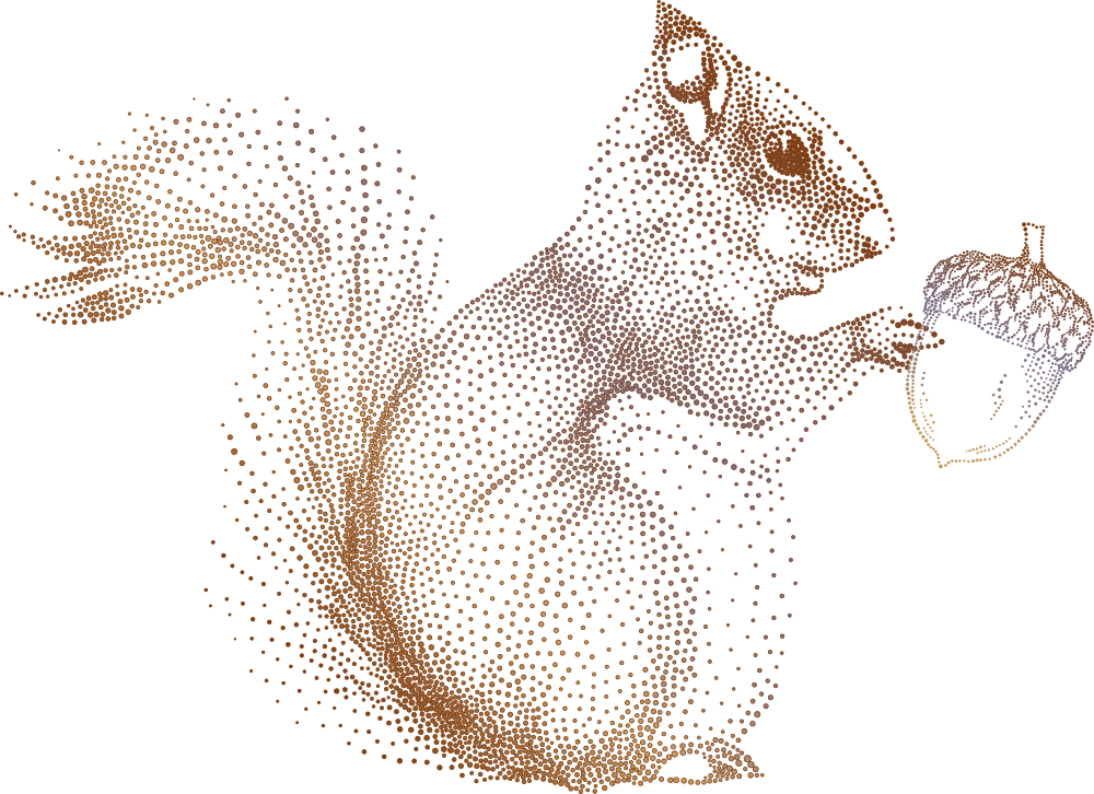 Squirrel Cartoon Clipart