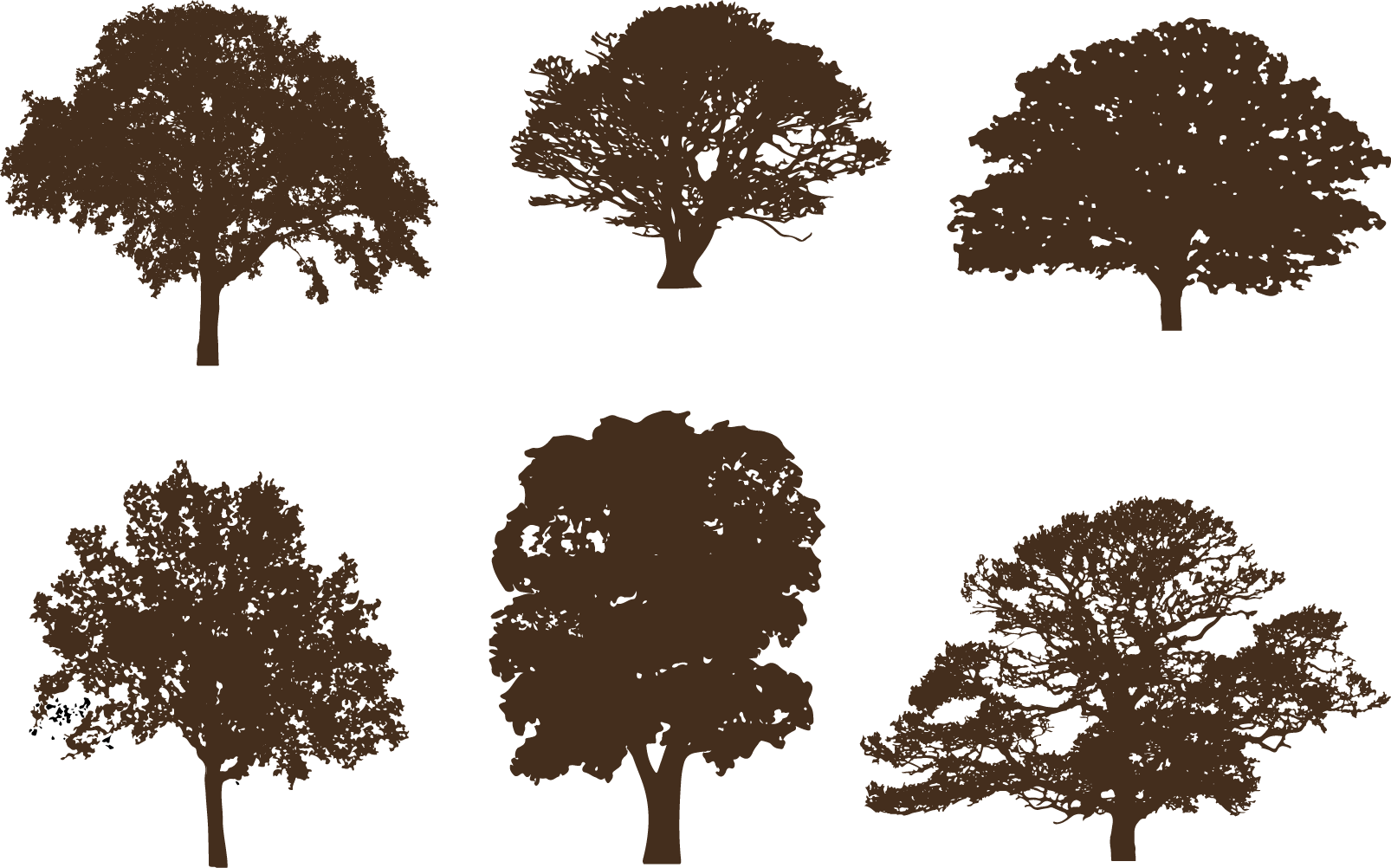 Oak Tree Silhouette Clipart