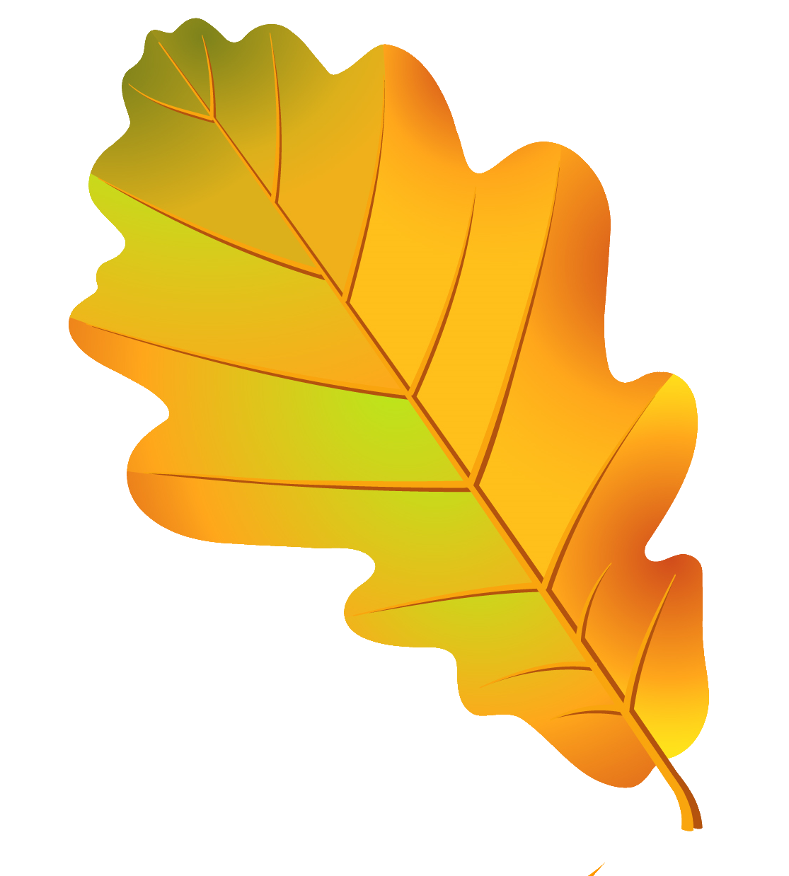 Oak Tree Drawing Clipart