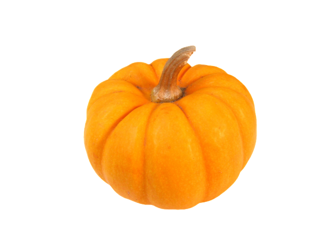 Food Cartoon Clipart