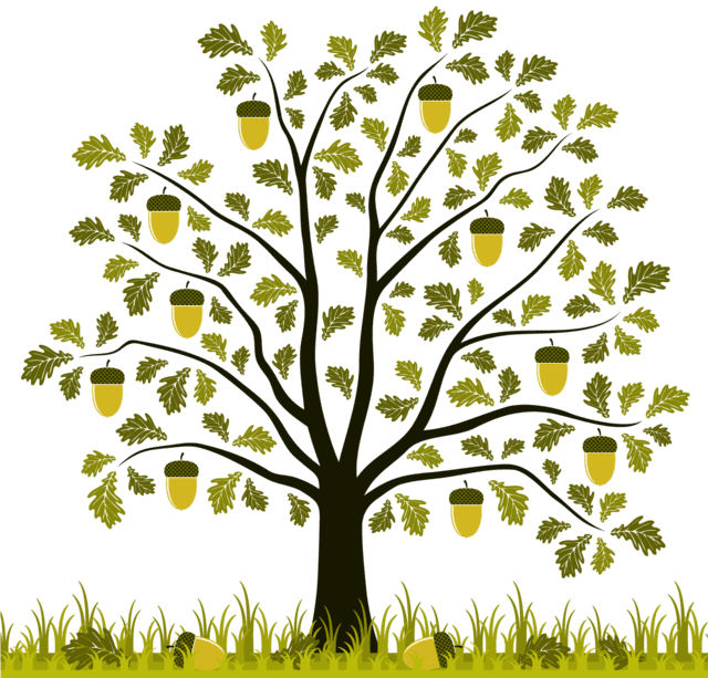 Oak Tree Drawing Clipart