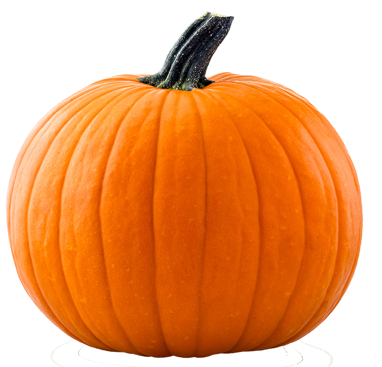 Halloween Jack O Lantern Clipart