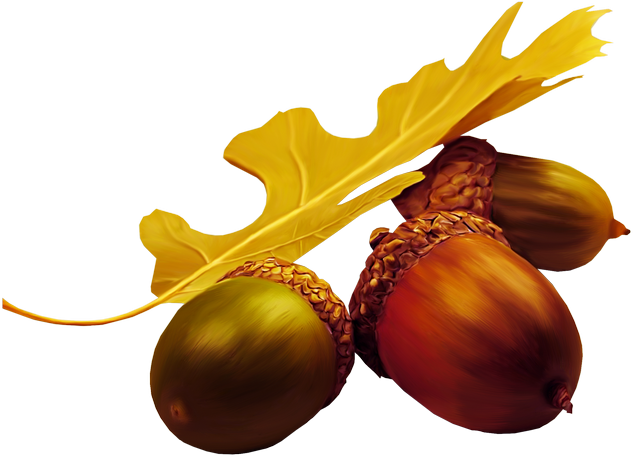 Turkey Cartoon Clipart