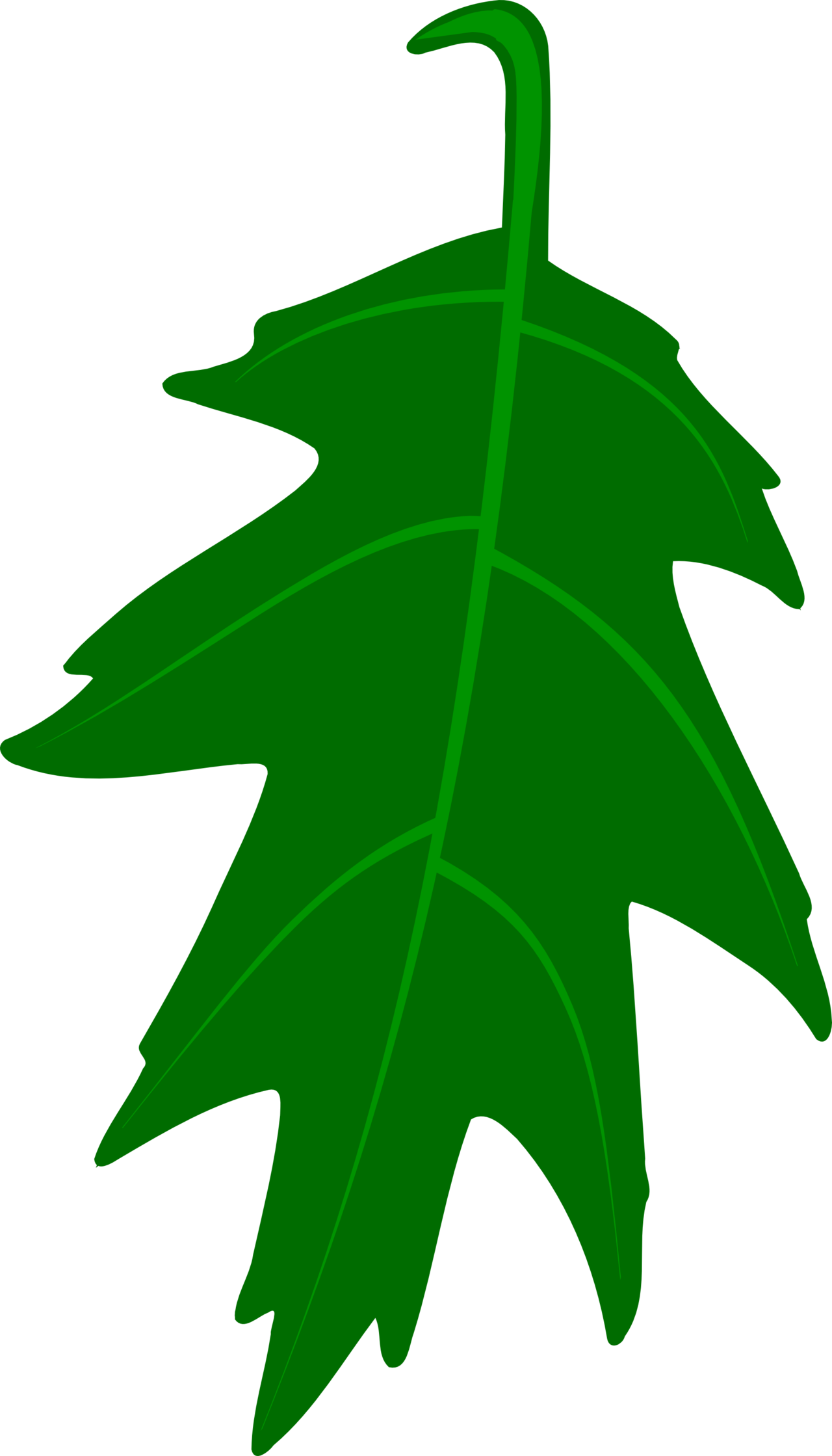 Oak Tree Drawing Clipart