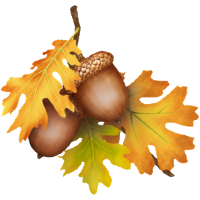 Oak Tree Leaf Clipart