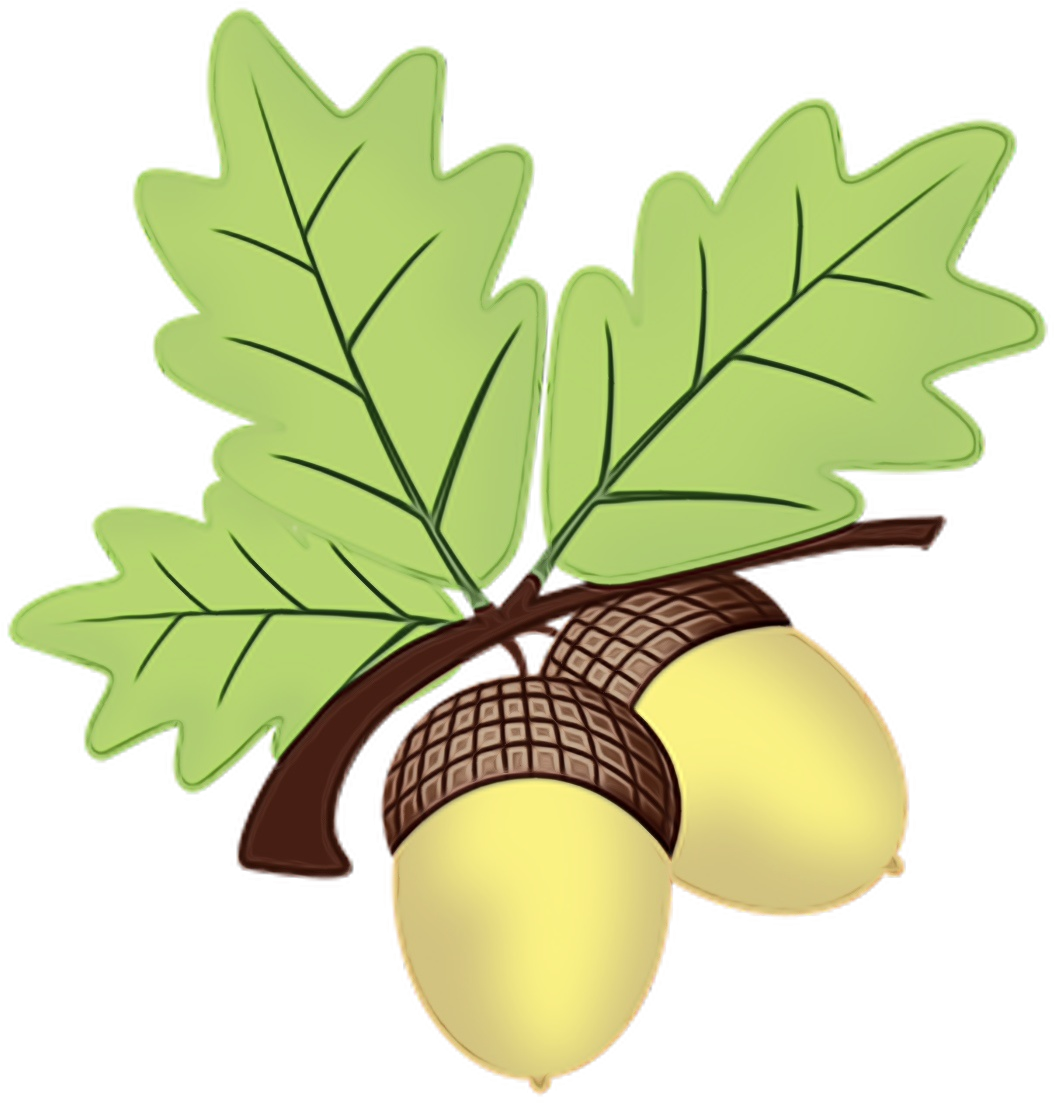 Plane Clipart