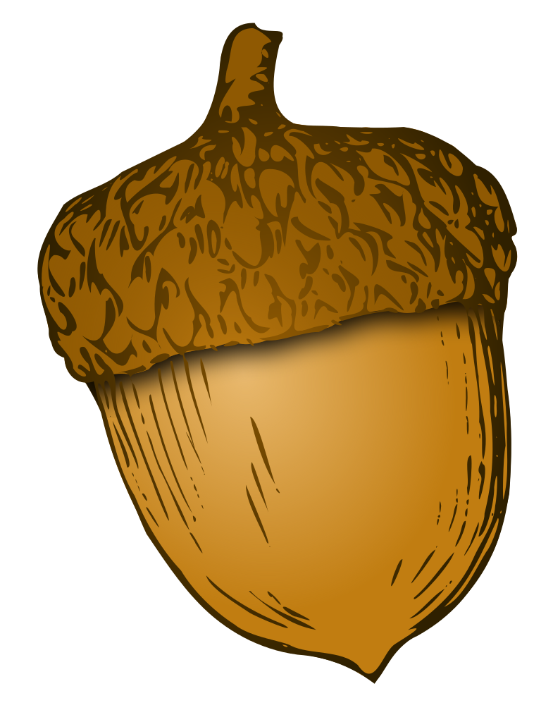 Fruit Cartoon Clipart
