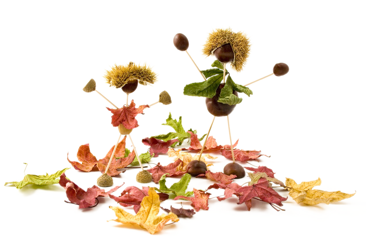 Autumn Floral Clipart