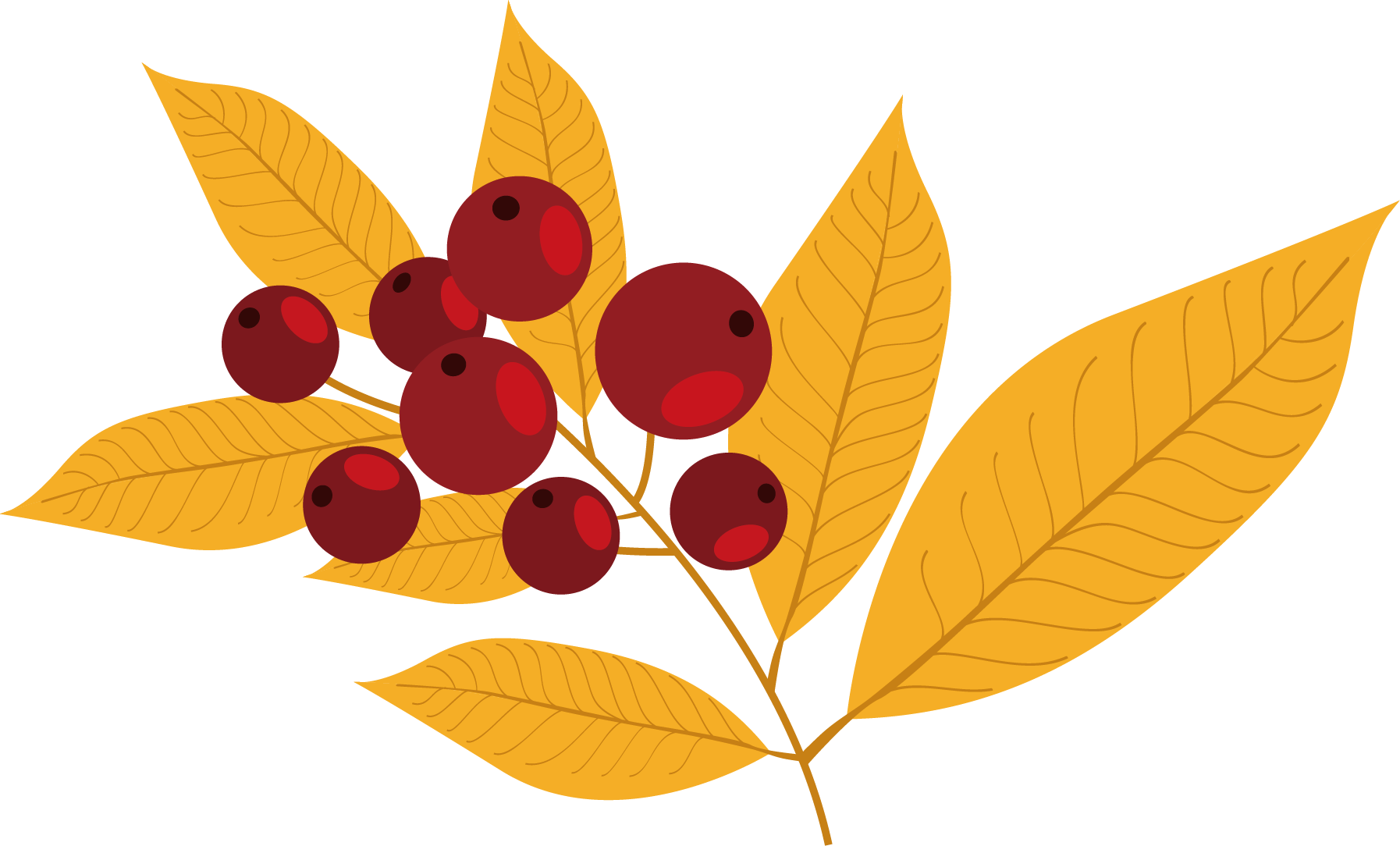 Autumn Leaf Drawing Clipart