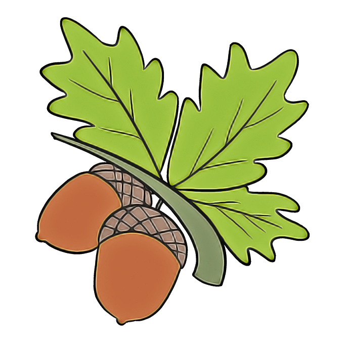 Plane Clipart