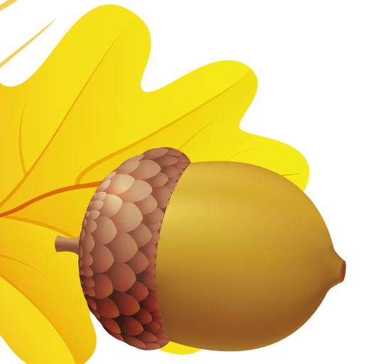 Flower Cartoon Clipart