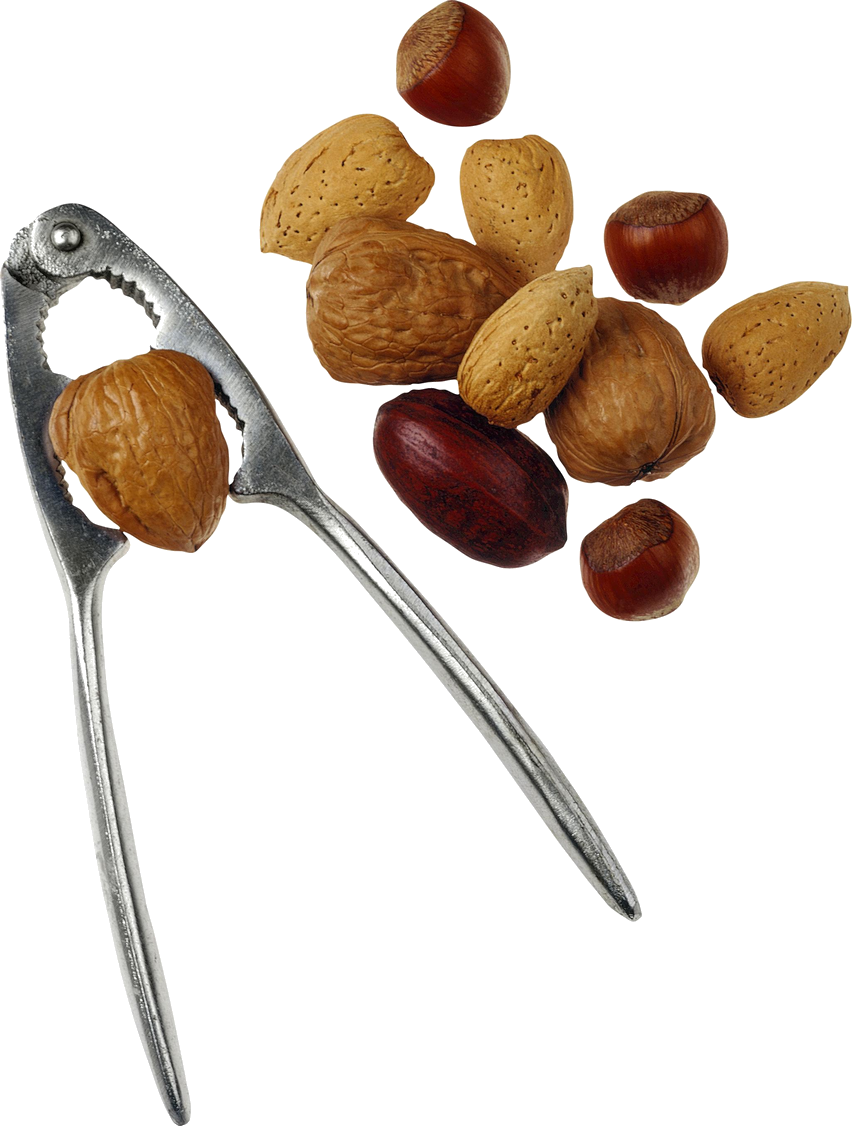 Fruit Cartoon Clipart