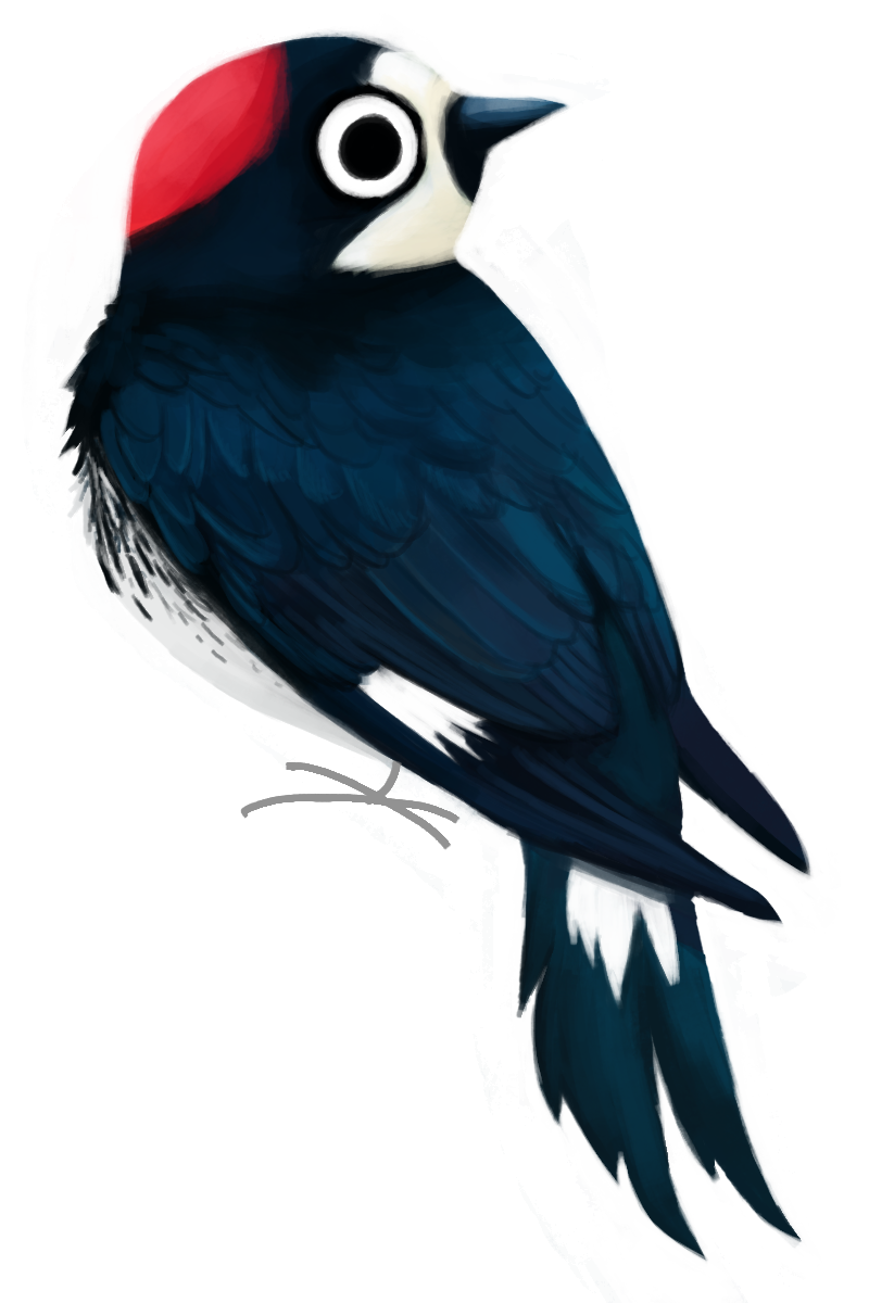 Woody Woodpecker Clipart