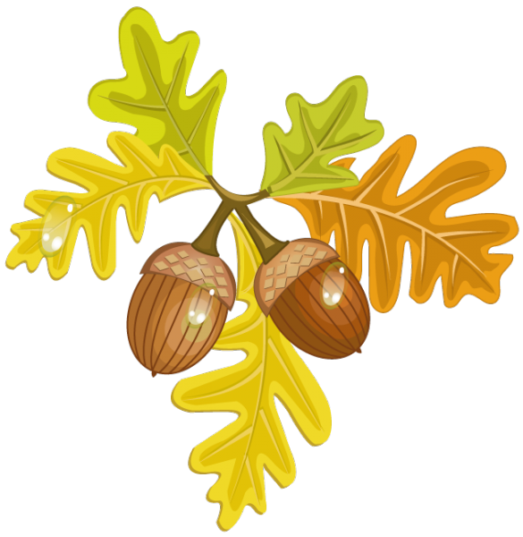 Oak Tree Leaf Clipart