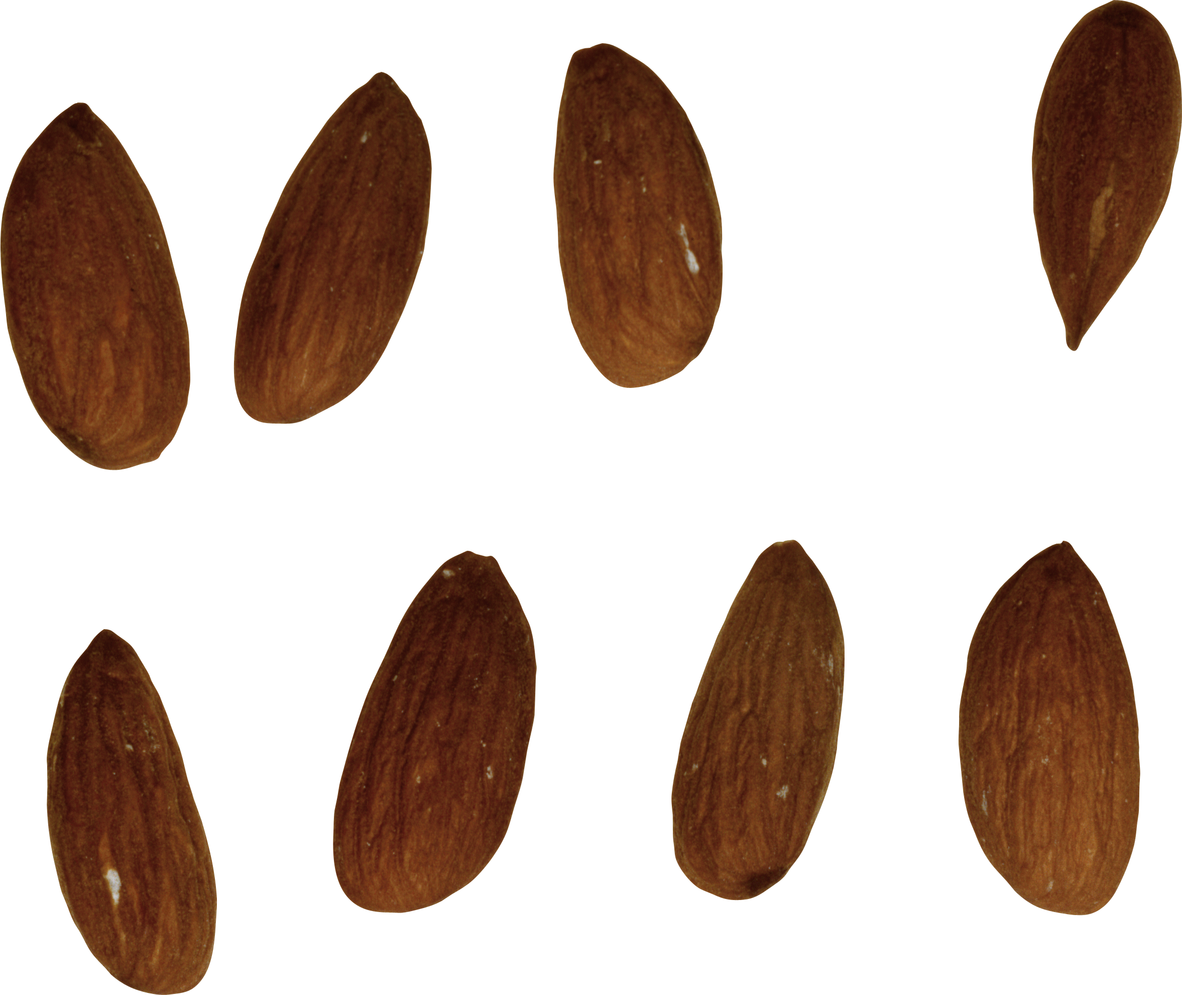 Wood Background Clipart
