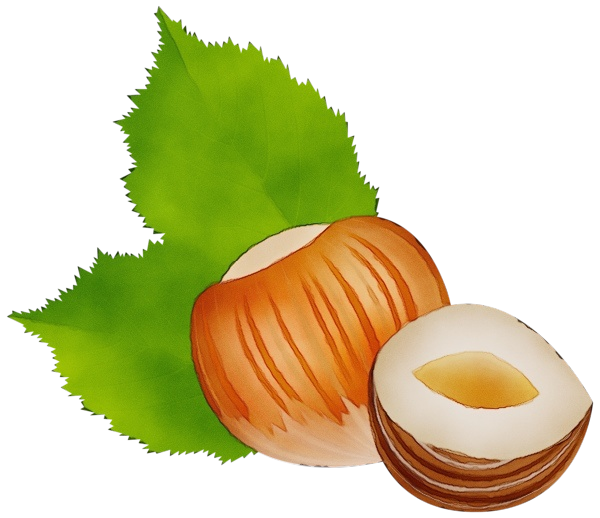 Watercolor Plant Clipart