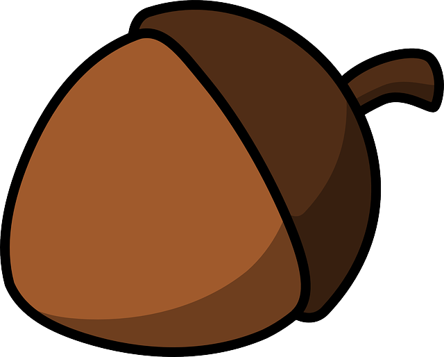 Nut Food Clipart