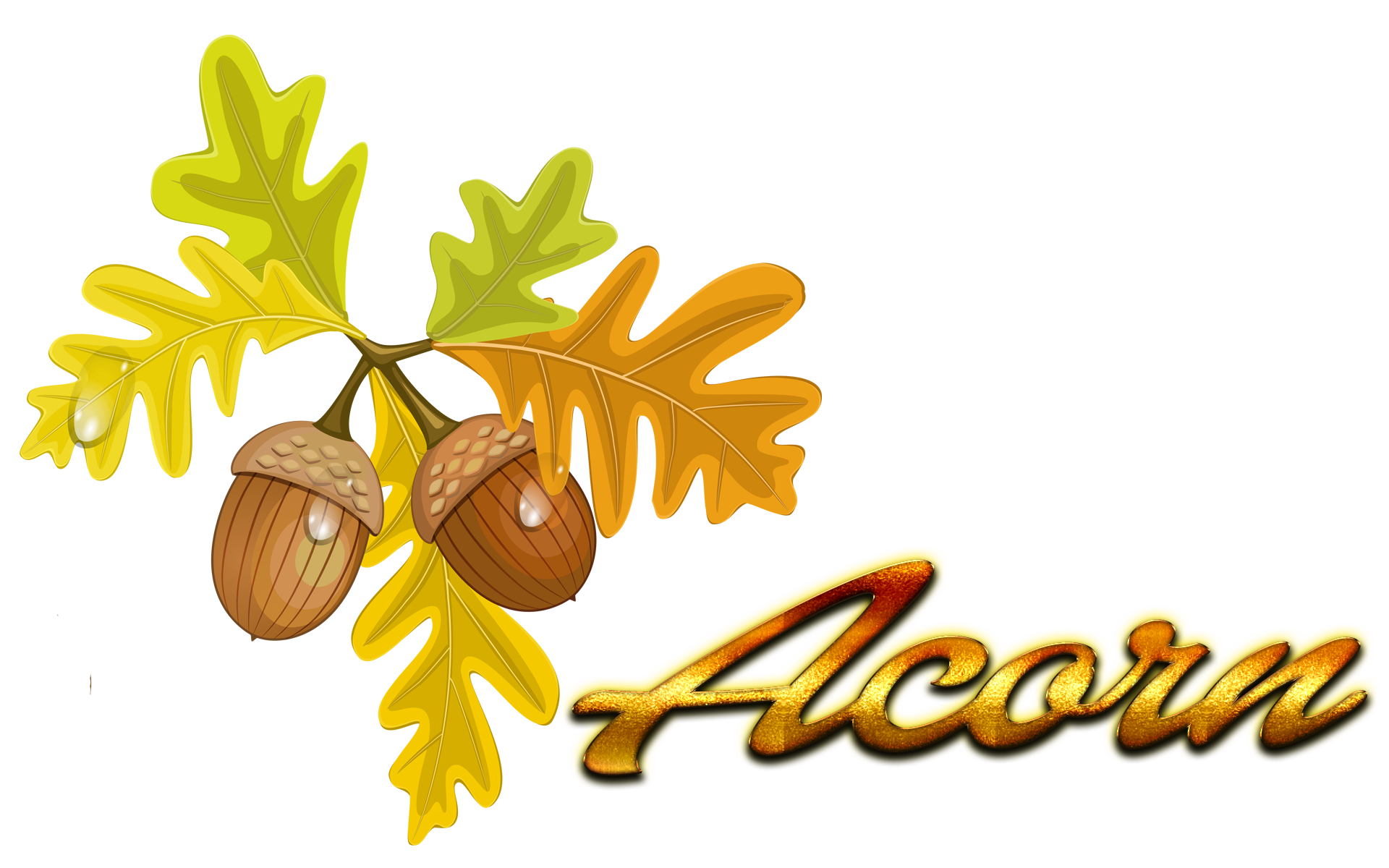 Oak Tree Leaf Clipart