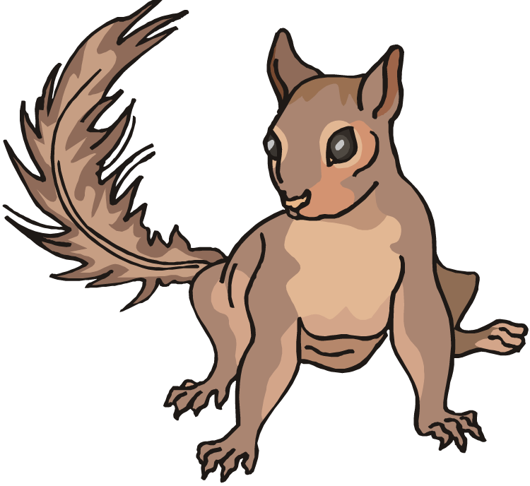 Squirrel Cartoon Clipart