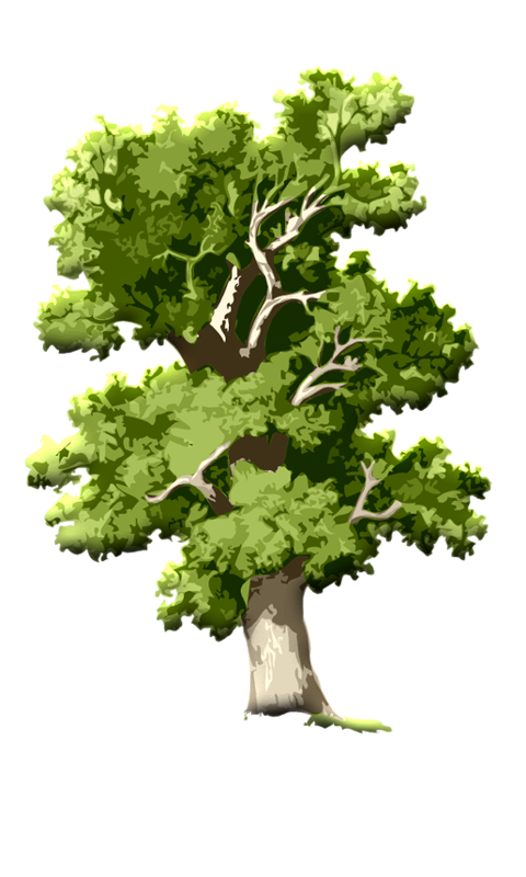 Family Tree Background Clipart
