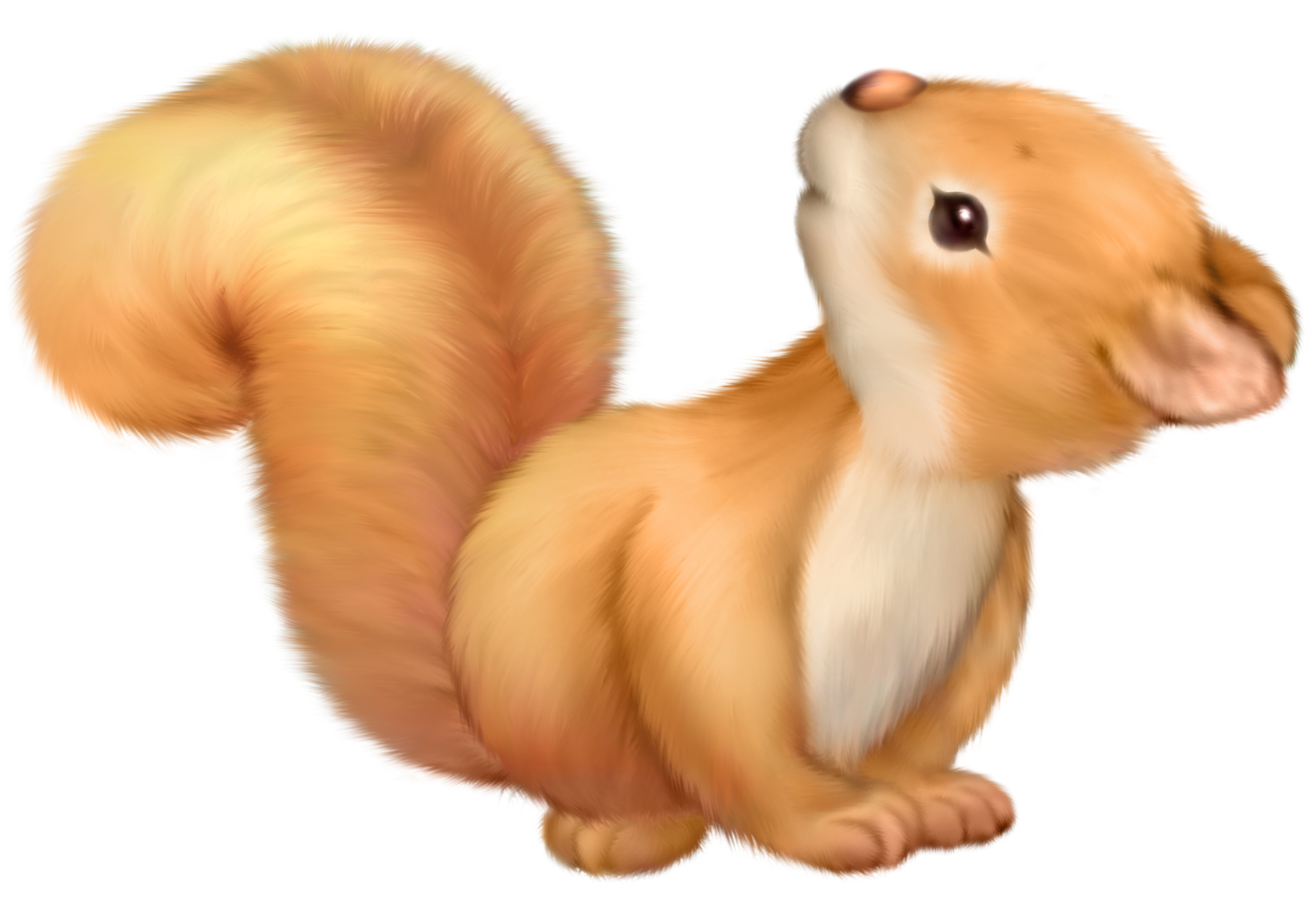 Squirrel Cartoon Clipart