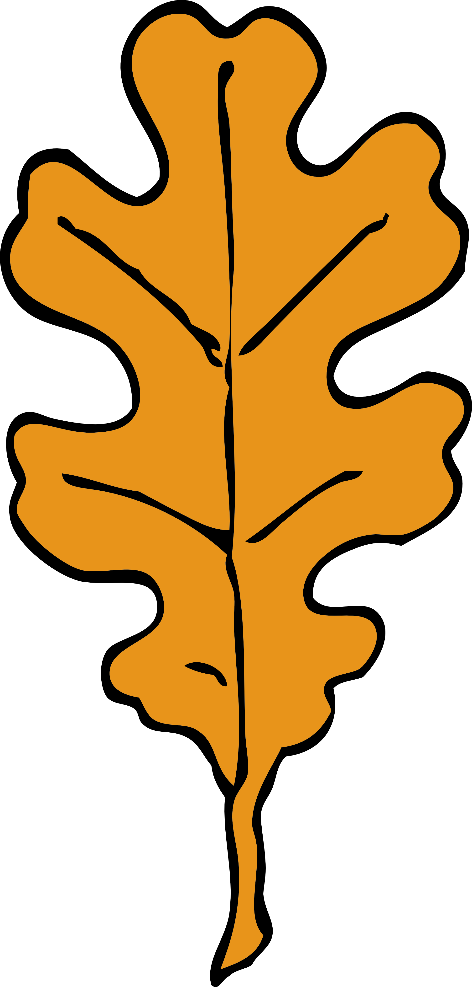 Oak Tree Leaf Clipart