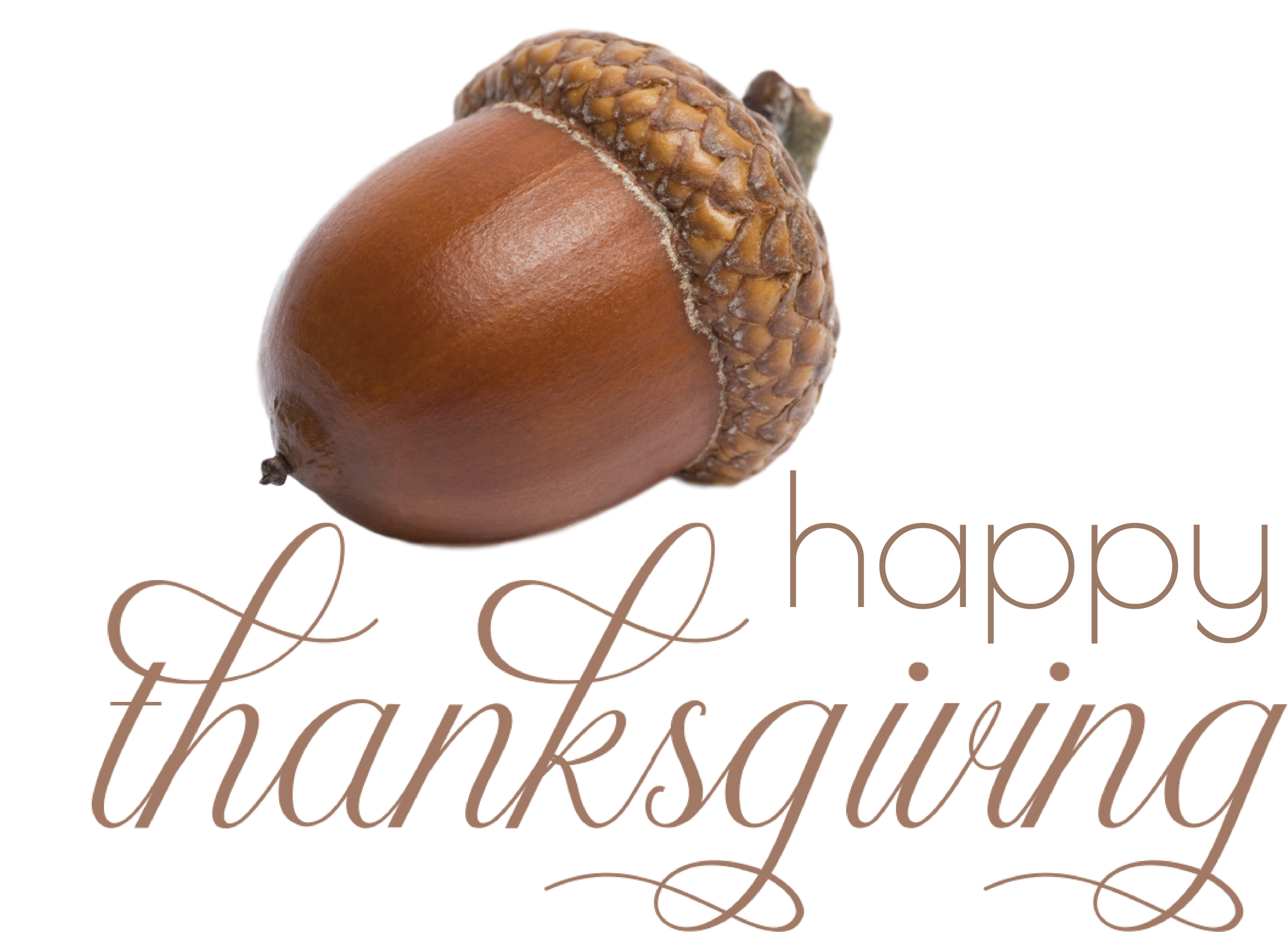 Happy Thanksgiving Thanksgiving Day Thanksgiving Clipart