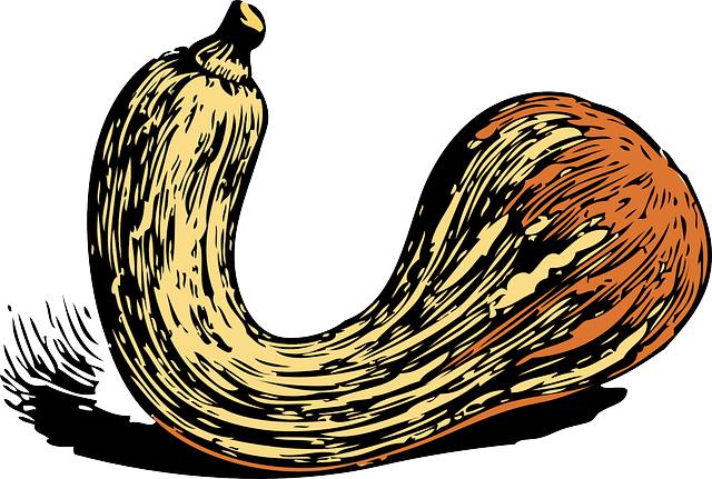 Vegetable Cartoon Clipart
