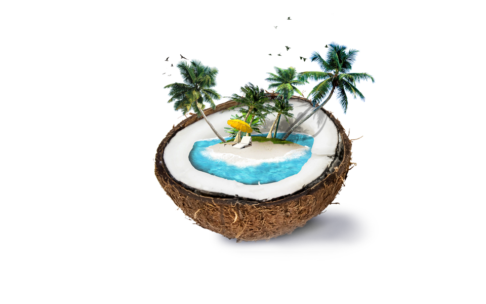 Coconut Tree Cartoon Clipart