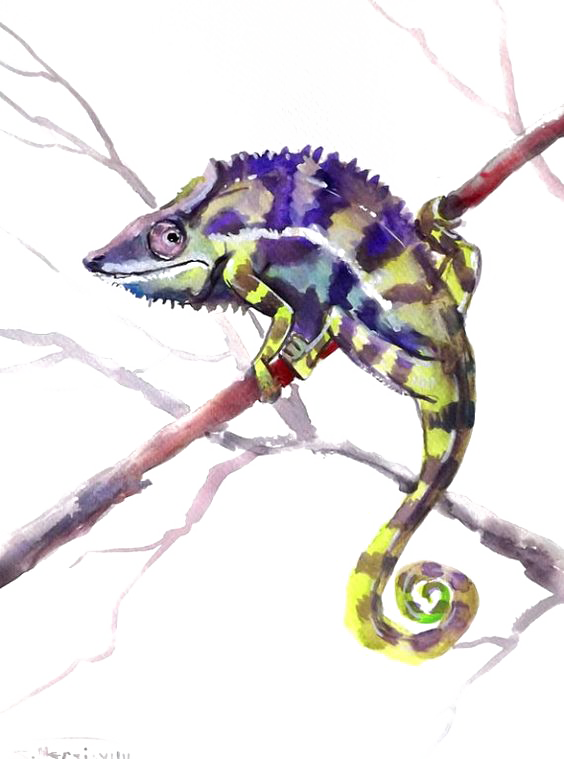 Chameleon Background Clipart