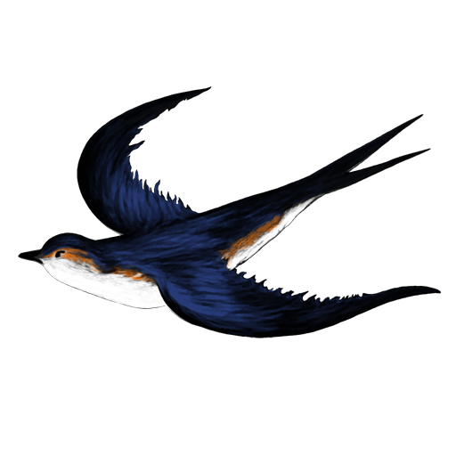 Swallow Bird Clipart