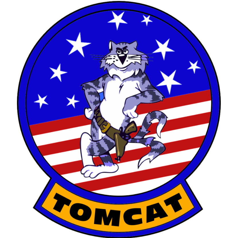 Grumman F14 Tomcat Area Clipart