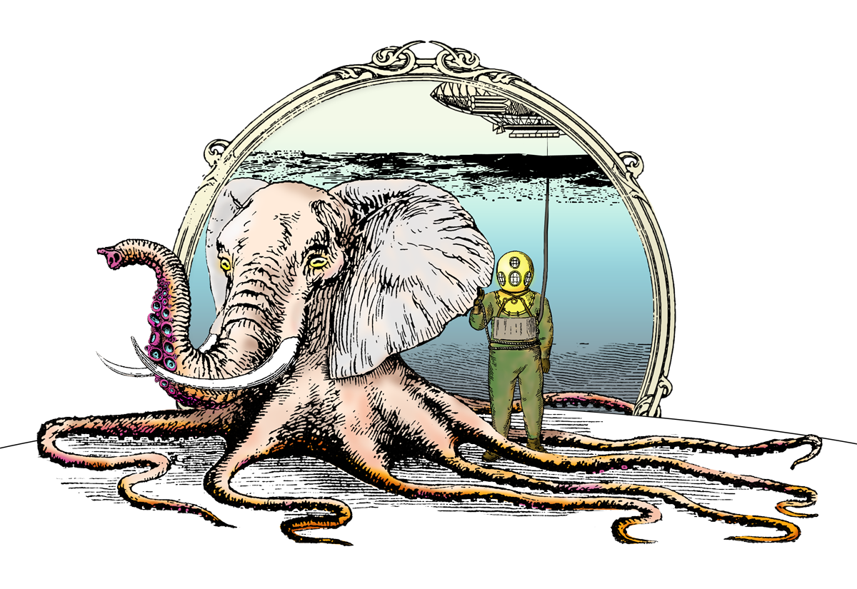 Octopus Cartoon Clipart