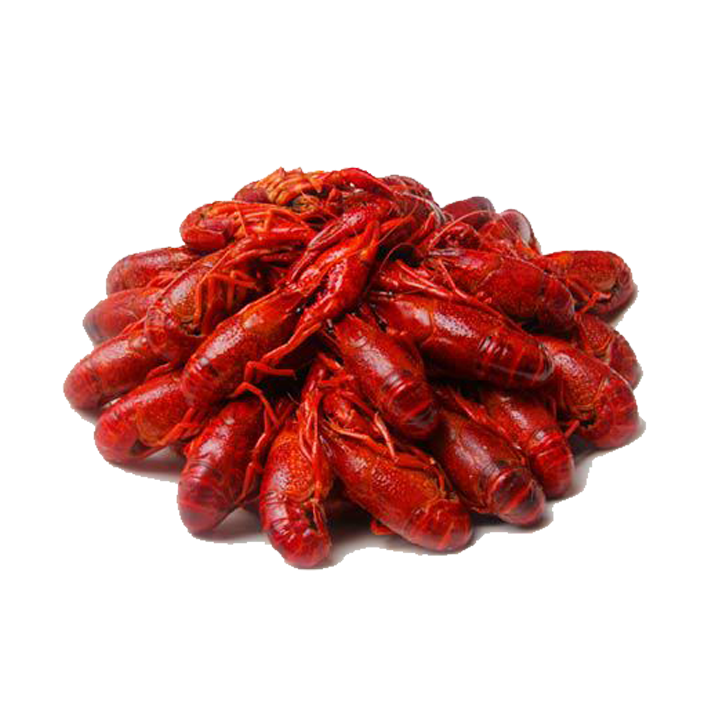 Seafood Background Clipart