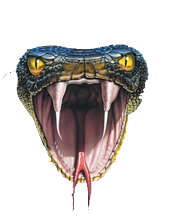 Mouth Cartoon Clipart